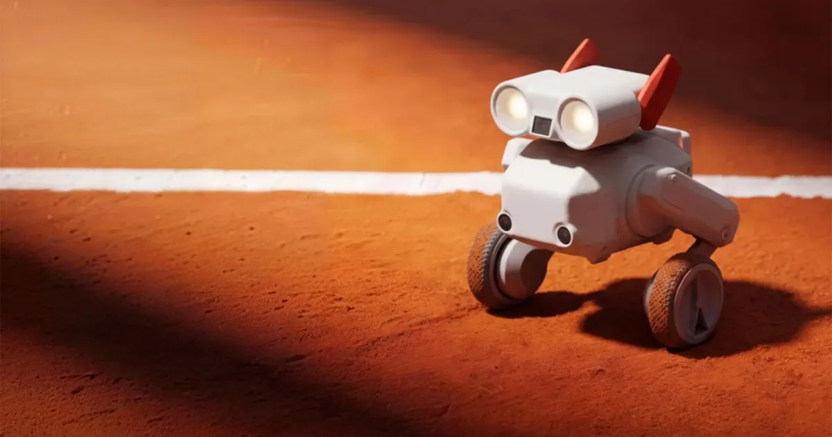 Beni all-terrain camera robot following a user outdoors